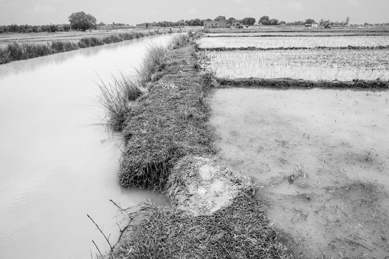 Water from the Karath Pyne being diverted into a paddy field for irrigation in Kaimur district, Bihar
